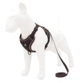Reflective Adventure Dog Harness